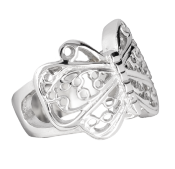 Ring EDR105 