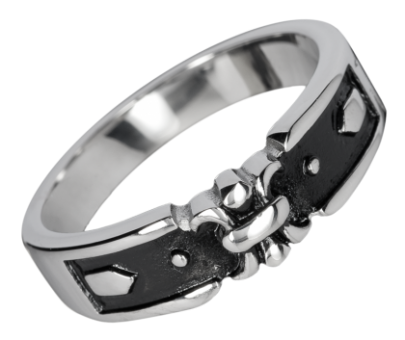 Ring EDR108 