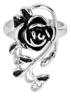 Ring EDR116 