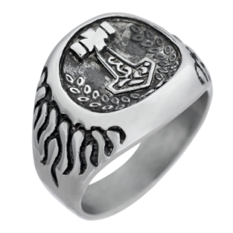 Ring EDR133 